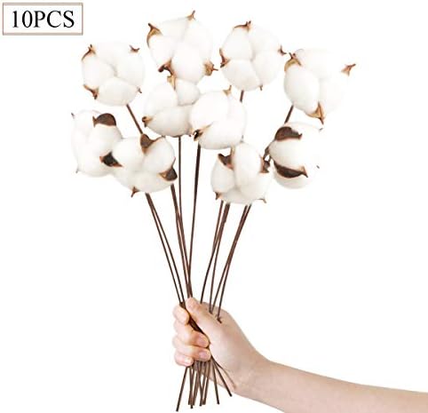 Vue 5 de Pack Fleurs De Coton