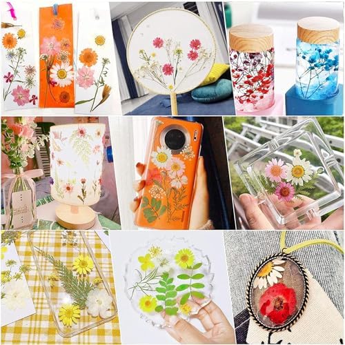 Vue 7 de Cayway Paquet Fleurs Sechees