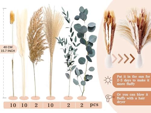 Vue 2 de Zjtape Pampa Sechees Eucalyptus