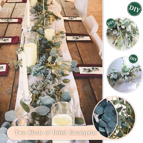 Vue 4 de Zjtape Pampa Sechees Eucalyptus