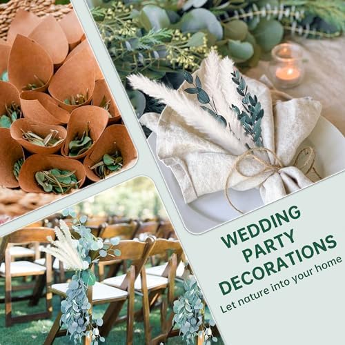 Vue 6 de Zjtape Pampa Sechees Eucalyptus