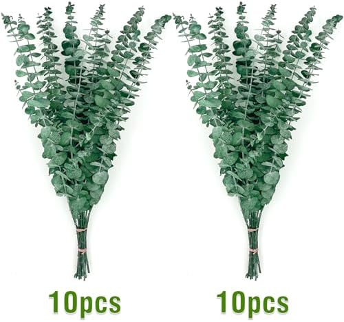 Vue 3 de Pieces Eucalyptus Seches Naturel