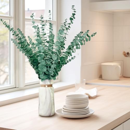 Vue 4 de Pieces Eucalyptus Seches Naturel