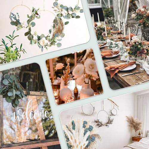 Vue 7 de Zjtape Pampa Sechees Eucalyptus