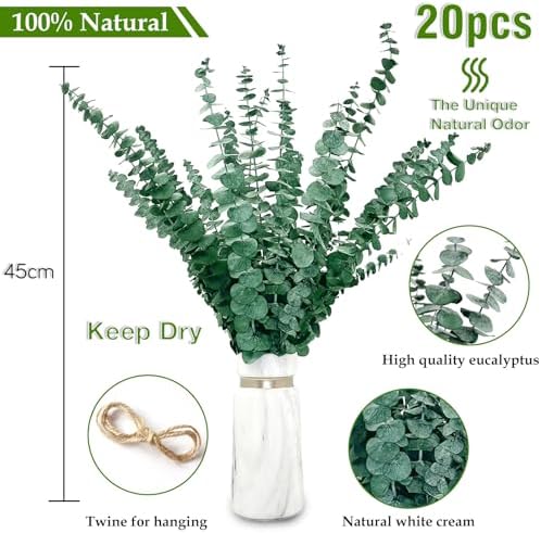 Vue 5 de Pieces Eucalyptus Seches Naturel