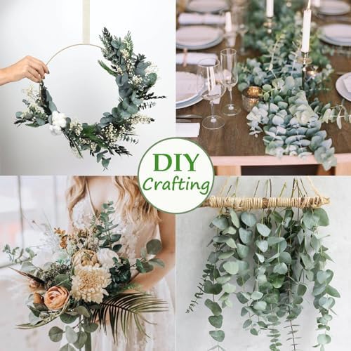 Vue 7 de Pieces Eucalyptus Seches Naturel