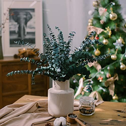 Vue 3 de Tiges Deucalyptus Sechees Preservees