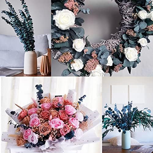 Vue 4 de Tiges Deucalyptus Sechees Preservees