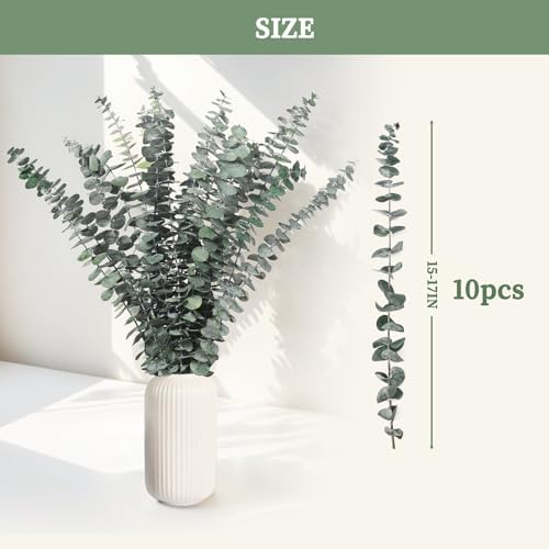 Vue 4 de Probuk Eucalyptus Seches Naturel
