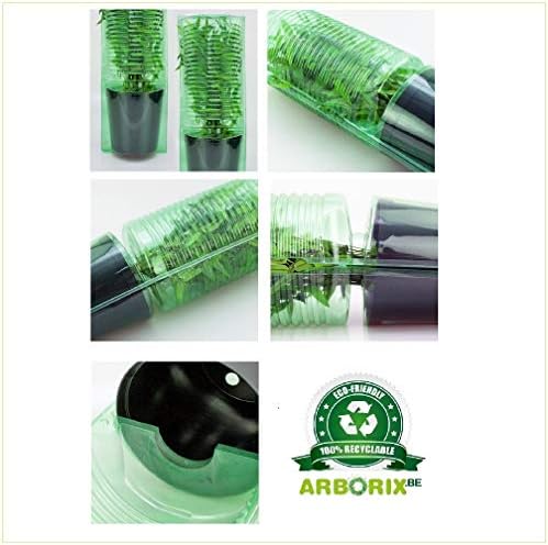 Vue 3 de Hedera Hibernica Lierre