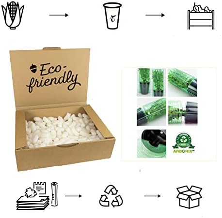 Vue 4 de Hedera Hibernica Lierre