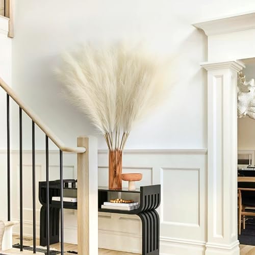 Vue 4 de Pieces Pampa Artificiellecm Pampas