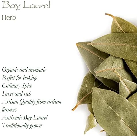 Vue 6 de Laurier Vrai Bio Lauriersauce
