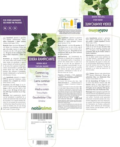 Vue 2 de Lierre Commun Ou Lierre