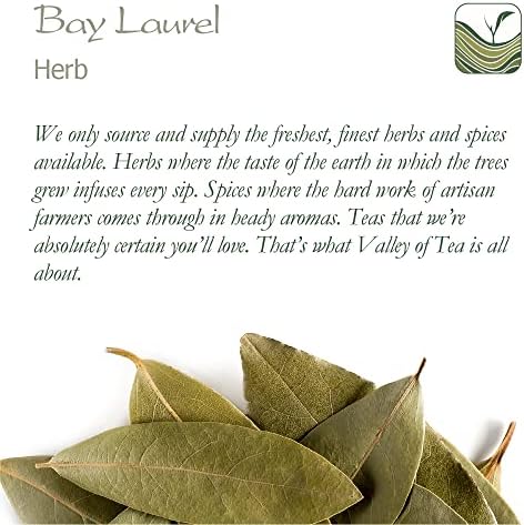 Vue 7 de Laurier Vrai Bio Lauriersauce