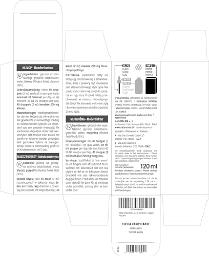 Vue 3 de Lierre Commun Ou Lierre