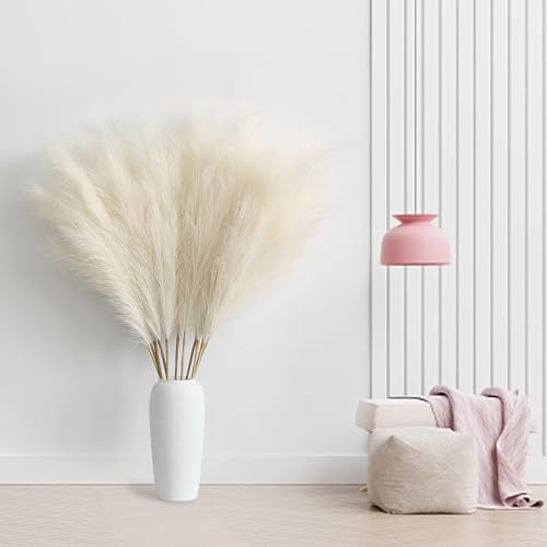 Vue 6 de Pieces Pampa Artificiellecm Pampas