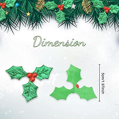 Vue 2 de Afasoes Baies De Houx