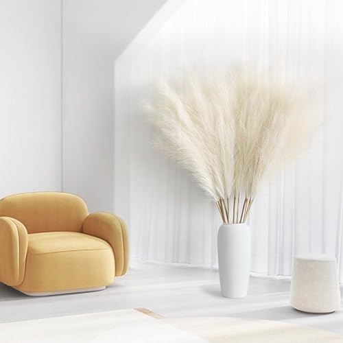 Vue 7 de Pieces Pampa Artificiellecm Pampas