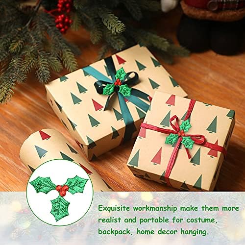 Vue 4 de Afasoes Baies De Houx