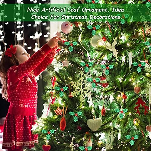 Vue 5 de Afasoes Baies De Houx