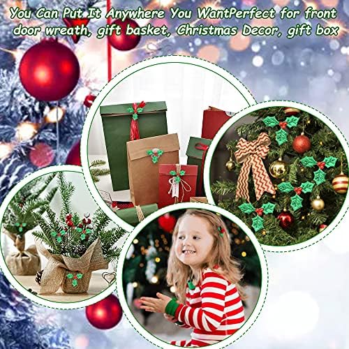 Vue 6 de Afasoes Baies De Houx