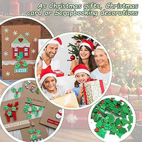 Vue 7 de Afasoes Baies De Houx