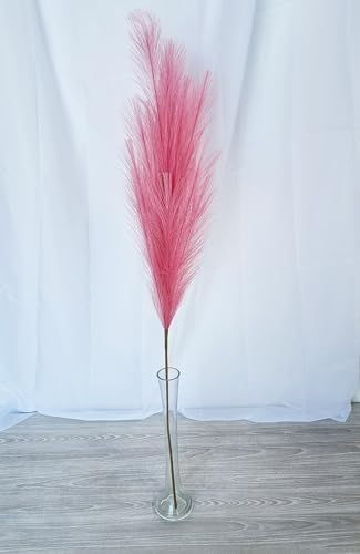 Vue 2 de Tige Dherbe De La