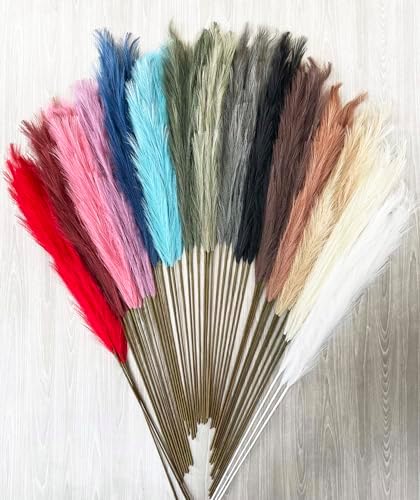 Vue 4 de Tige Dherbe De La