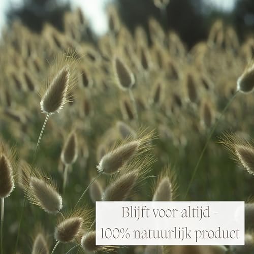 Vue 6 de Ninamarias Deko Gold Queue