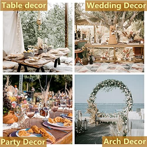 Vue 6 de Morceaux De Pampa Avec