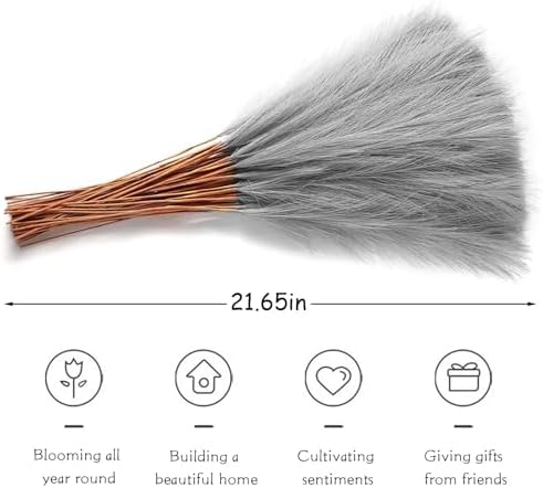 Vue 2 de Vidstw Pcs Pampas Sechees