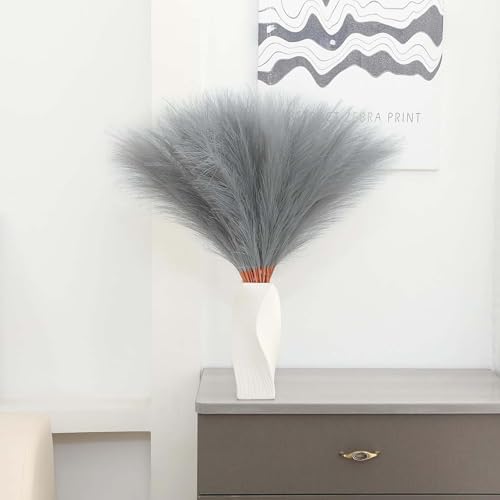 Vue 4 de Vidstw Pcs Pampas Sechees