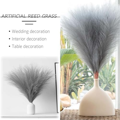 Vue 5 de Vidstw Pcs Pampas Sechees