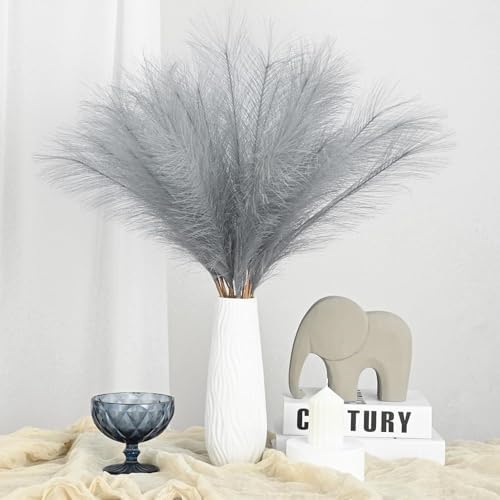 Vue 6 de Vidstw Pcs Pampas Sechees