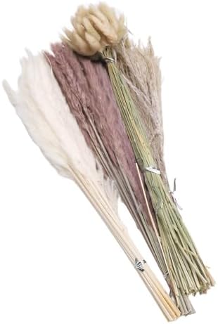 Vue 3 de Herbe De Miscanthus Sechee