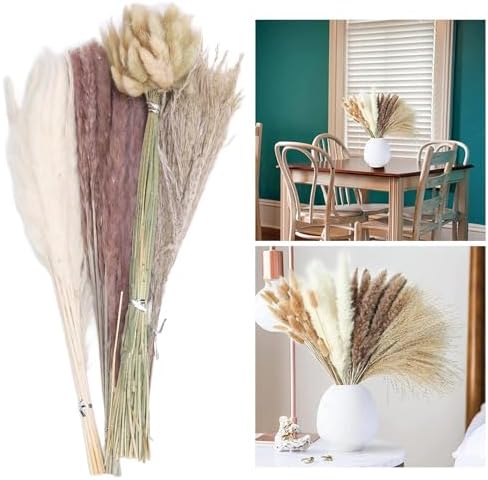 Vue 4 de Herbe De Miscanthus Sechee