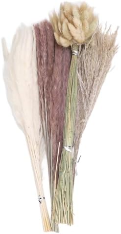 Vue 5 de Herbe De Miscanthus Sechee