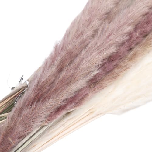 Vue 6 de Herbe De Miscanthus Sechee