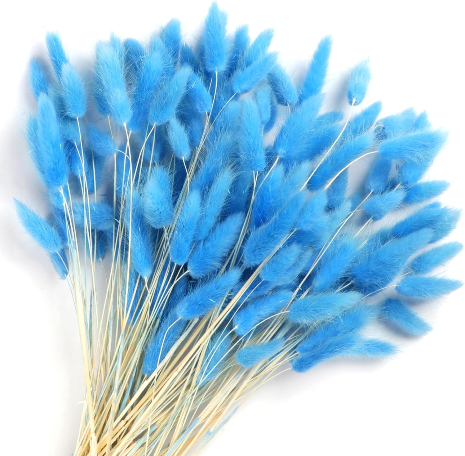 Songjum Pieces Fleurs Sechees