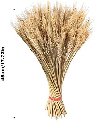 Vue 5 de Ble Naturel Fleurs Ble