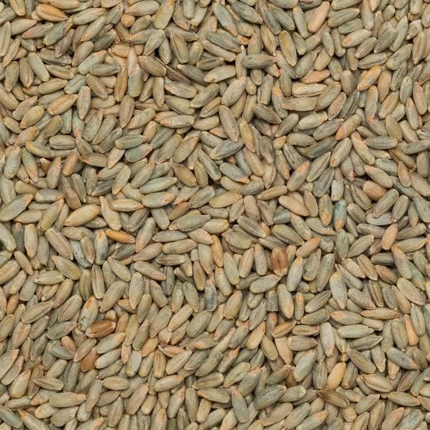 Vue 5 de Wholefood Earth Grains De