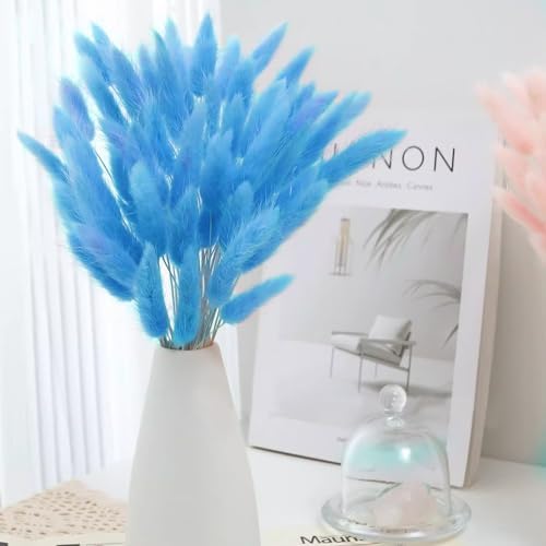 Vue 6 de Songjum Pieces Fleurs Sechees