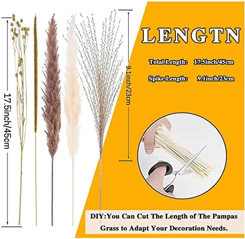 Vue 2 de Lot De Herbes De