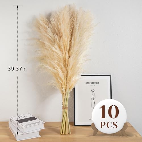 Vue 2 de Lot De Pampa Xxl