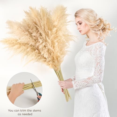 Vue 3 de Lot De Pampa Xxl