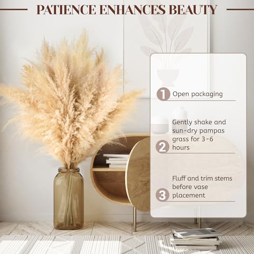 Vue 4 de Lot De Pampa Xxl