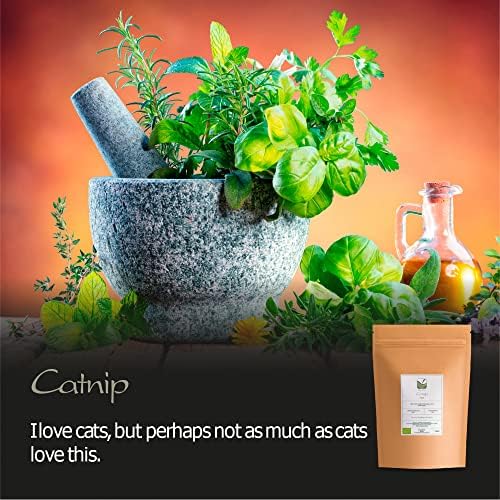 Vue 5 de Herbe Chat Sechee