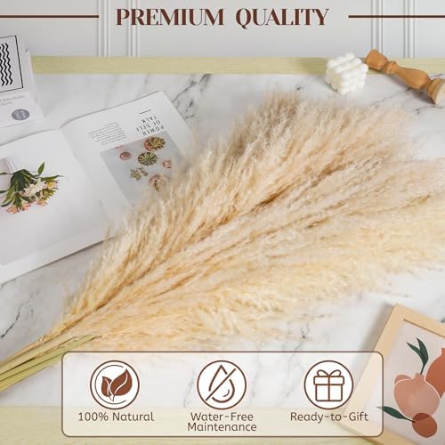 Vue 5 de Lot De Pampa Xxl