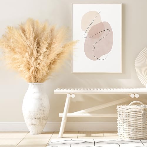 Vue 6 de Lot De Pampa Xxl